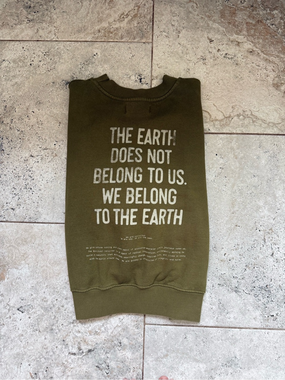 Spiritual Gangster Earth Palisades Cotton Sweatshirt - Picture 4 of 4